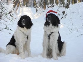 Batida und Hexe Dezember 2012