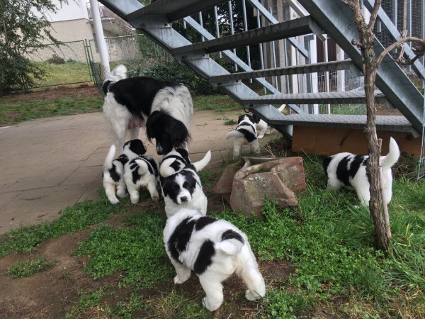 Mama passt auf uns auf!