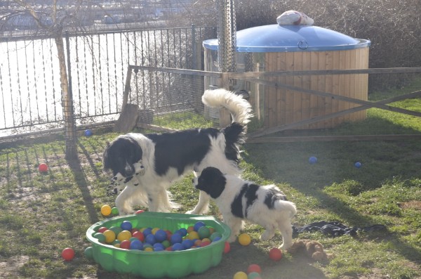 Okina spielt sehr schön mit ihren Kindern