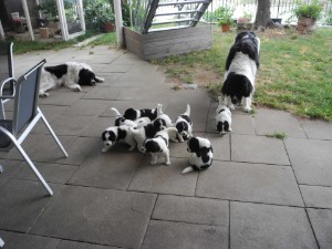 Mama und Oma passen auf! Mama und Oma passen auf!