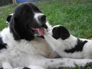 Alles an Mama ist interessant! Alles an Mama ist interessant!