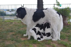 Mama ist als Zwischenmahlzeit immer willkommen!!!