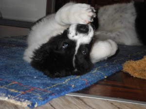 Mir gehts gut! Mir gehts gut!