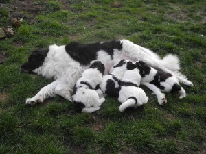 1. Mahlzeit im Freien